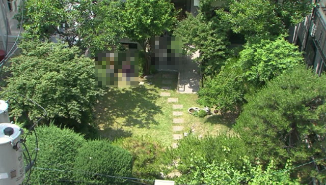 KBS를 포함한 방송사 취재진이 촬영한 ‘평화의 우리집’ 모습