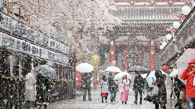 지난달 29일 일본 도쿄 소재 사찰인 센소지 인근 상점가에 눈이 내리는 가운데 사람들이 우산을 쓰고 이동하고 있다. 〈교도=연합〉
