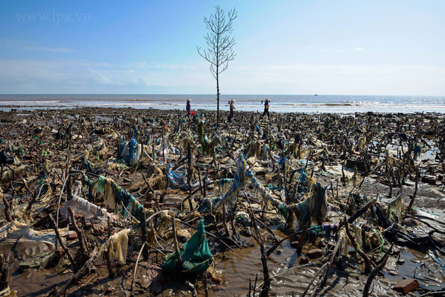 플라스틱 쓰레기로 뒤덮인 베트남 북부 남딘성 꽛람 해변 (사진 촬영=응웬 비엣 훙)