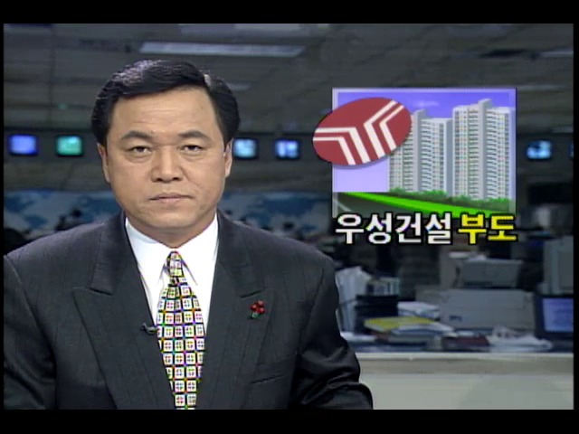 우성건설 부도