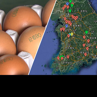 [데이터] ‘살충제 달걀’ 49곳 확인…인터랙티브 그래프로
