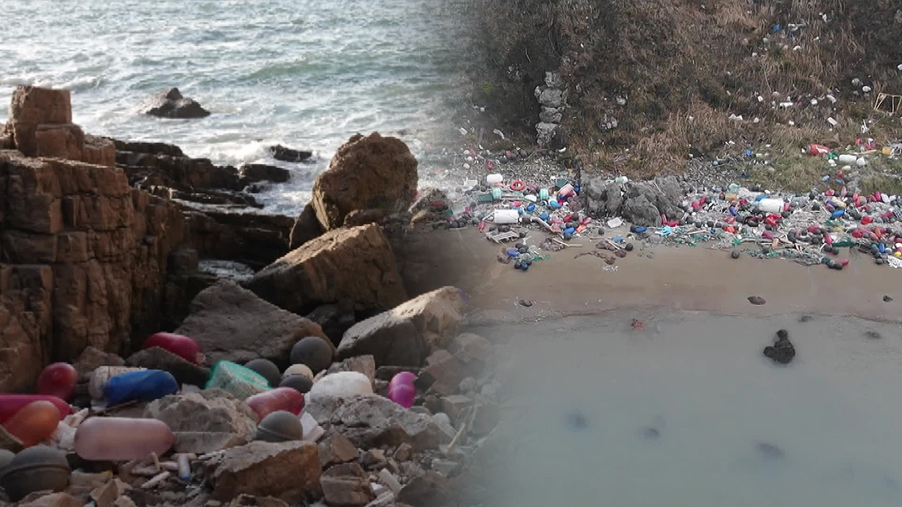 쓰레기 범벅된 바닷가…감시·점검 예산은 전액 삭감 기사 이미지
