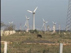 인도, 풍력발전 슈퍼파워 꿈꾼다 