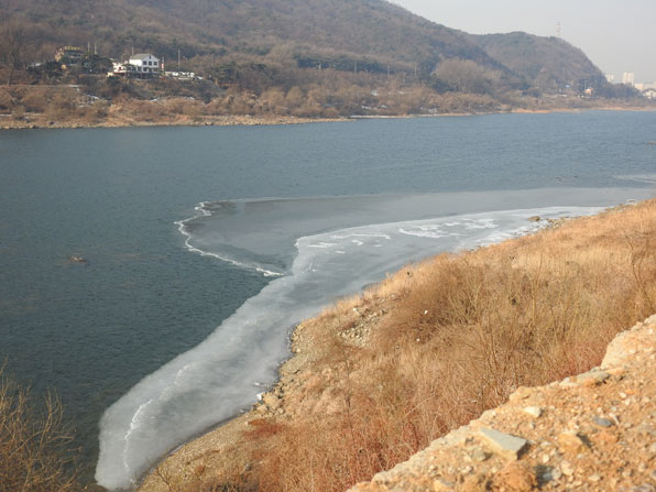 참수리 사냥터. 경기도 남양주군 한강 유역