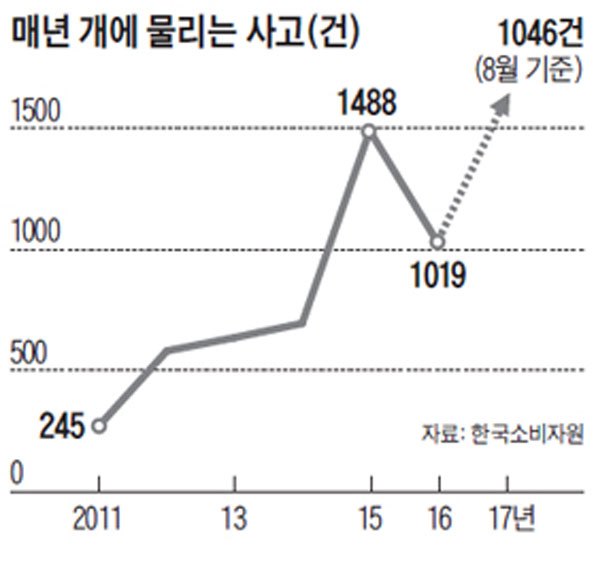 자료 : 한국소비자원 