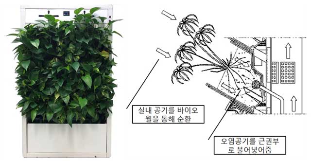 바이오월 유체 흐름