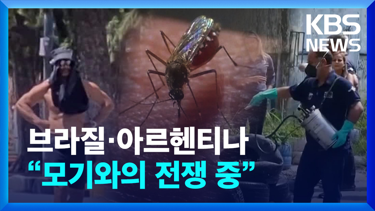 [영상] 브라질·아르헨티나는 “모기와의 전쟁 중”