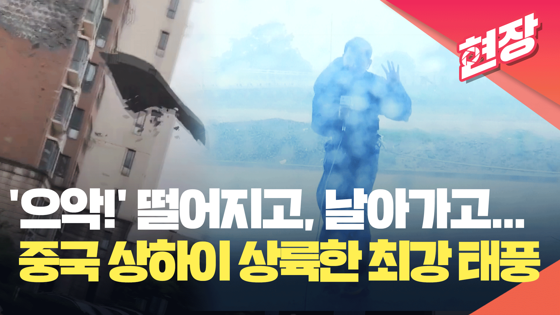 중국 상하이에 상륙한 ‘75년 만의 최강 태풍’…건물 외벽 떨어질 정도