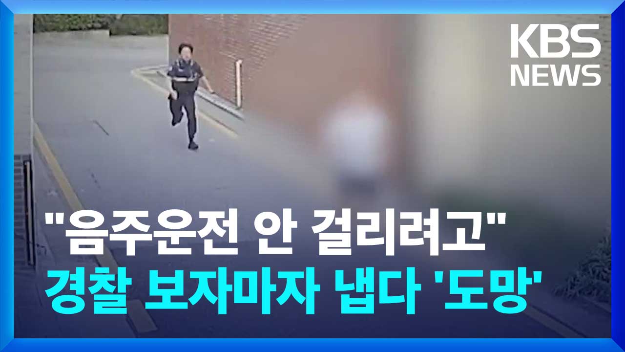 [영상] 경찰 보자마자 냅다 도망?…추격전 끝 40대 남성 검거