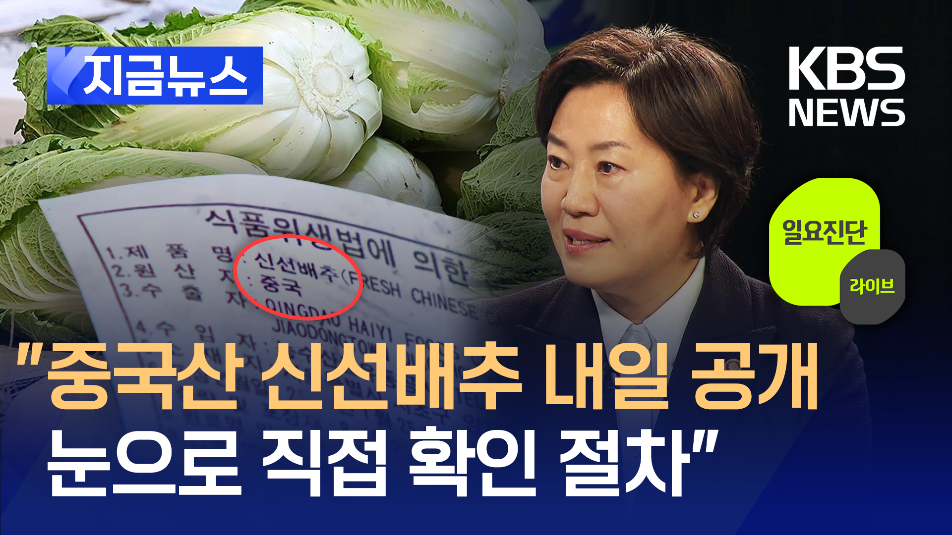 “중국산 신선배추 내일 공개, 눈으로 직접 확인 절차”