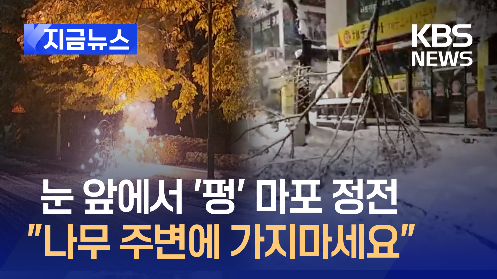 ‘펑’ 터지더니 마포 정전, 지붕 전체 무너진 안산 공장…폭설로 몸살 [지금뉴스]