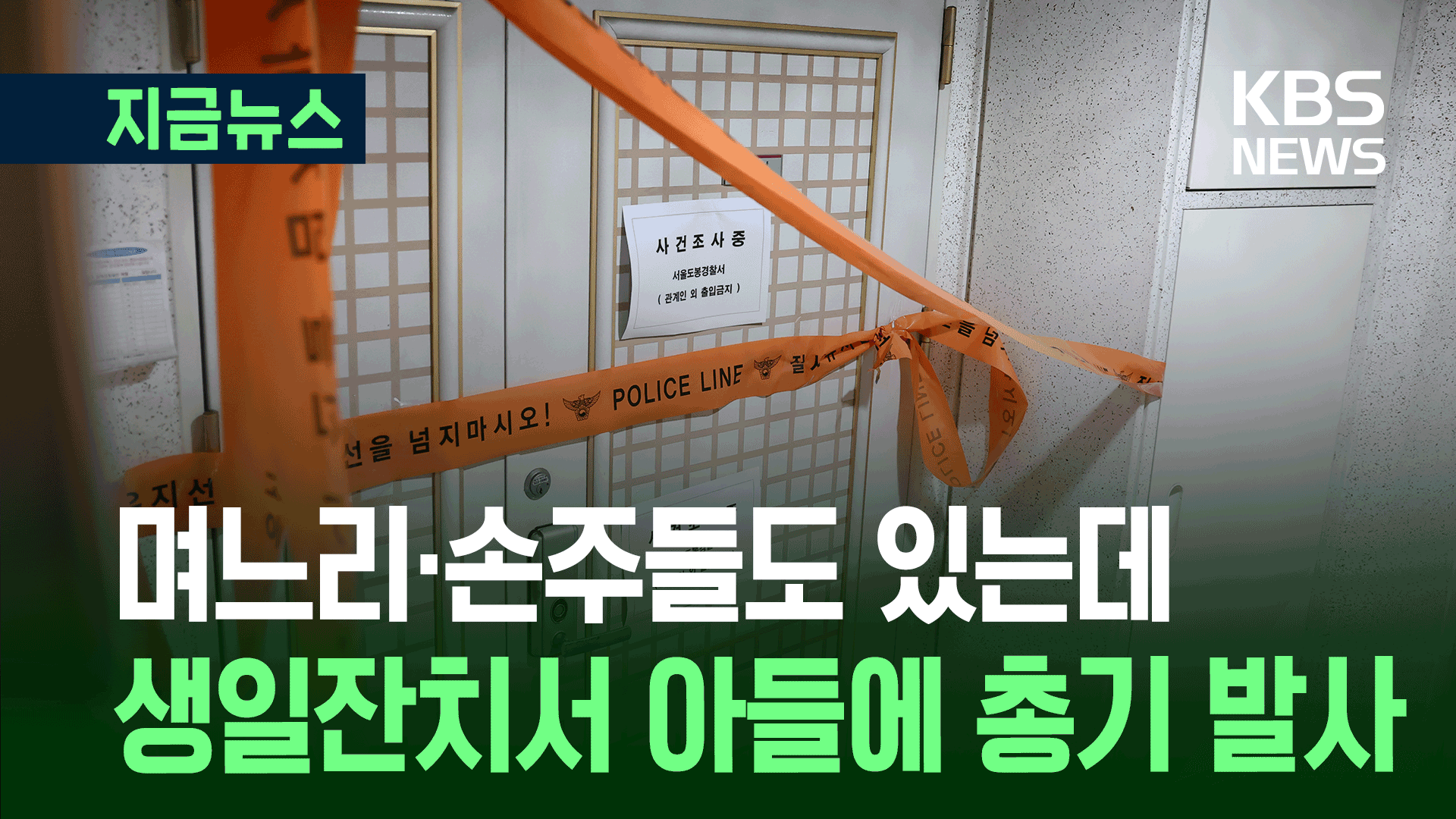 며느리·손주들도 있는데…생일잔치서 아들에 사제총기 발사