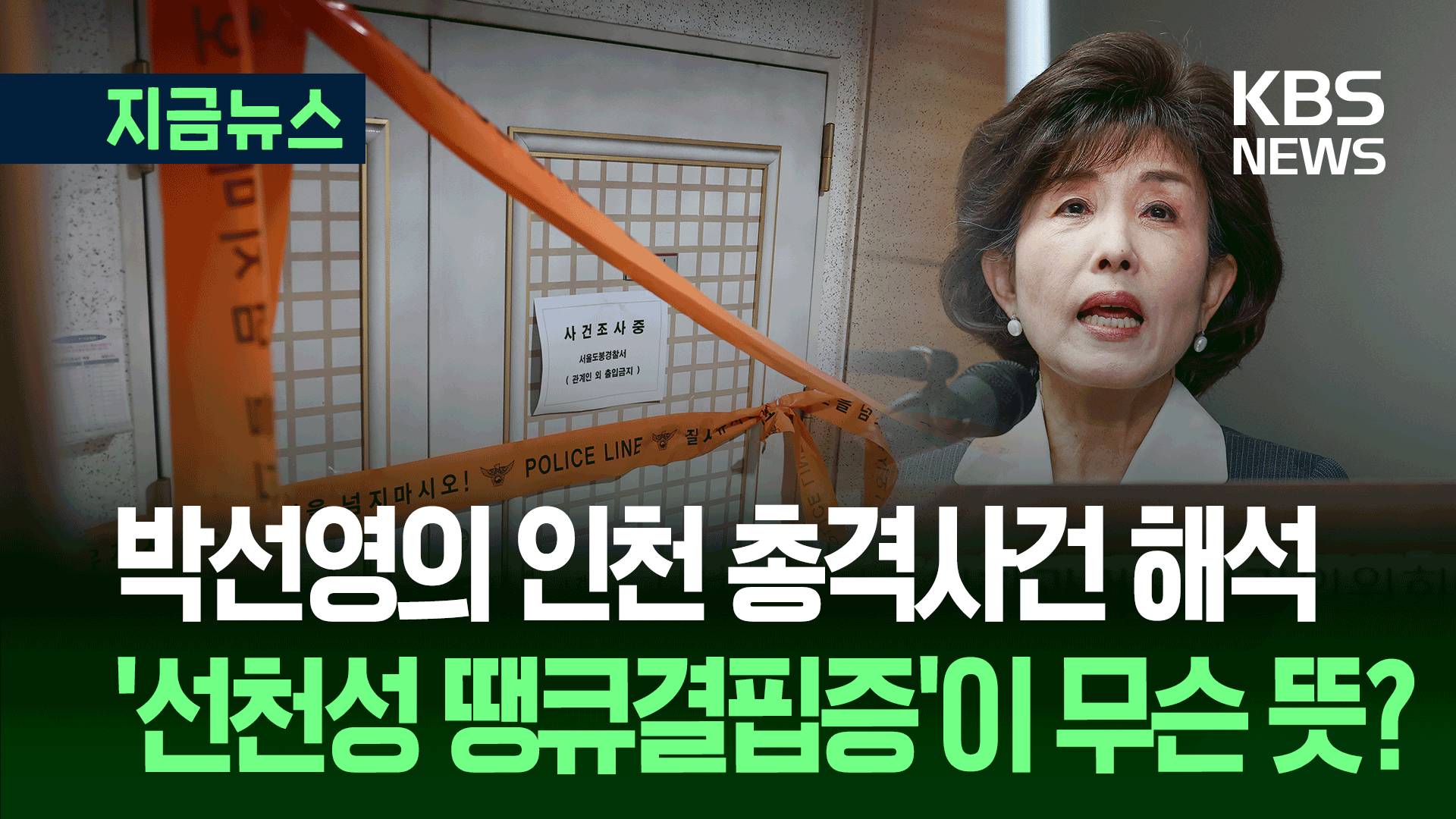 박선영 진실화해위원장, 인천 총격사건에 “선천성 땡큐결핍증”?