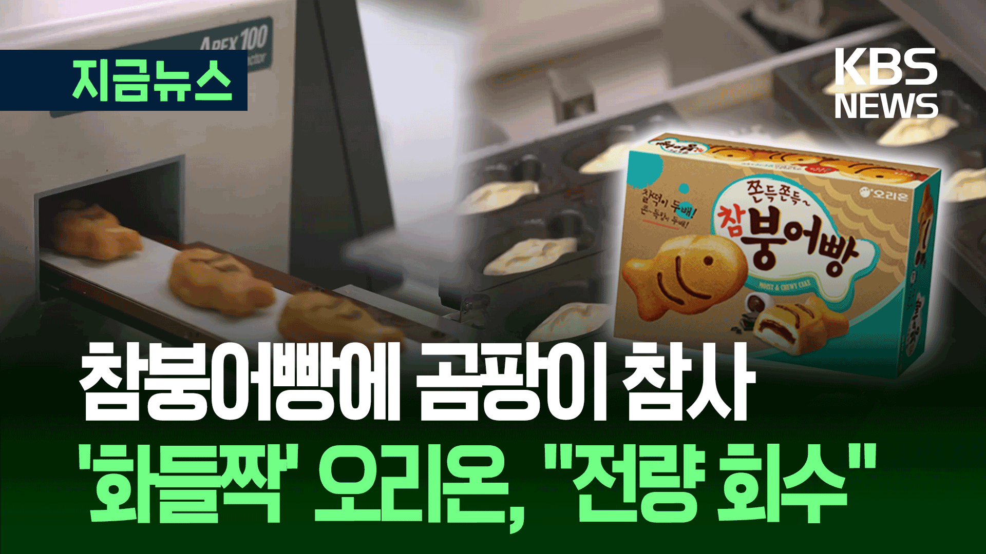 오리온 ‘참붕어빵’ 15억 어치 회수…검사 결과 ‘이것’ 불량