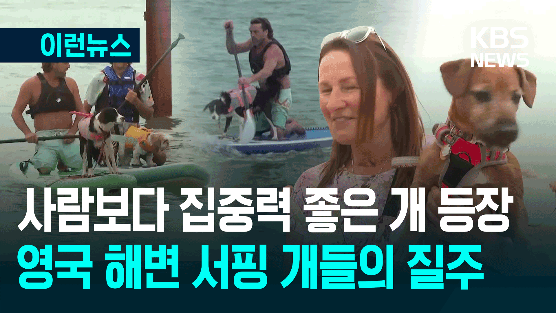 전 세계 서핑왕은 ‘이 강아지’…‘월드 도그 서핑 챔피언십’