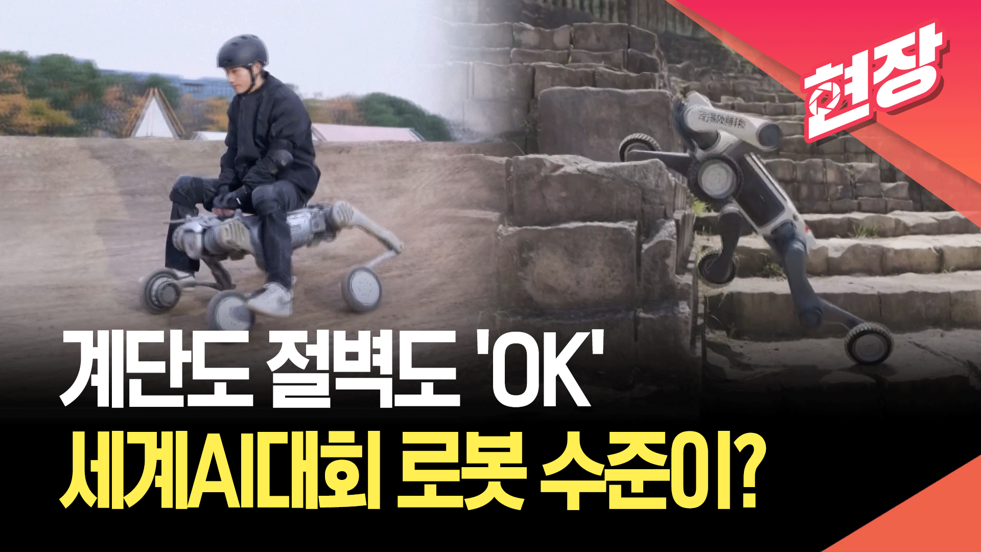 [영상] 모래밭·계단 가뿐히…세계 AI대회 로봇 시연에 ‘깜짝’