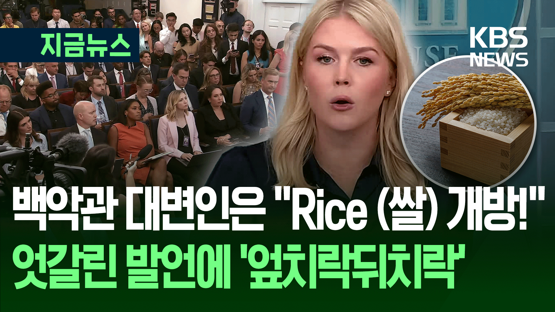 ‘역사적 쌀 개방’ 백악관 발표 ‘어리둥절’…정부 “협의 안 한 게 확실”