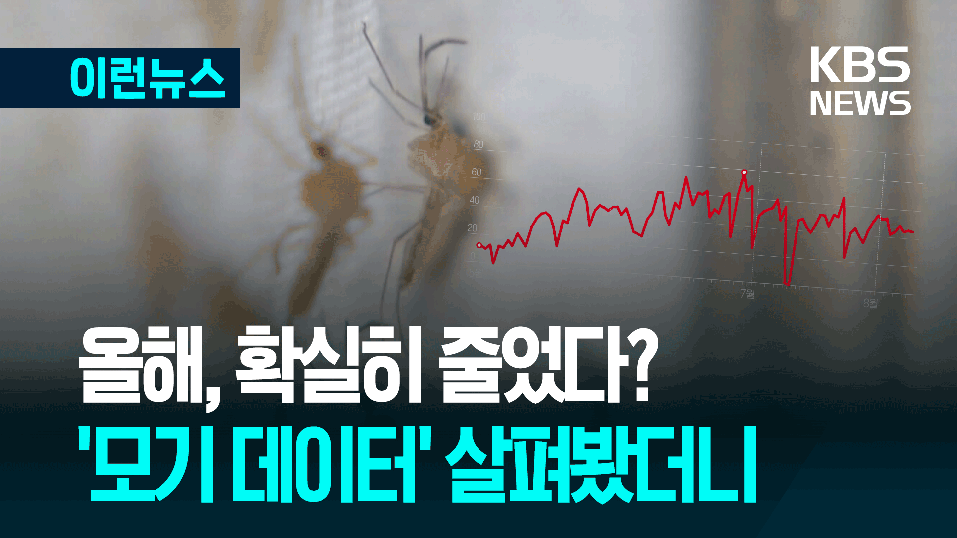 8월 초인데 모기가 없네? 데이터로 살펴봤더니 [이런뉴스]