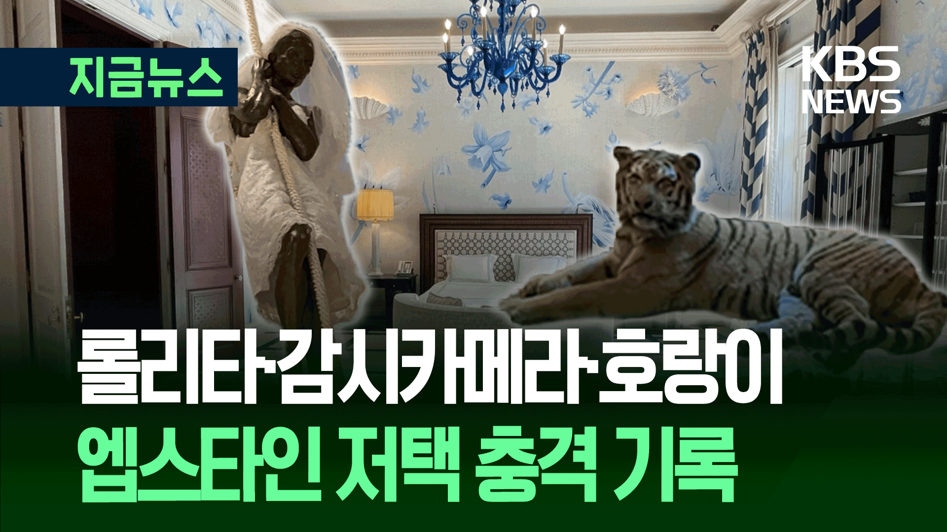 ‘상상초월 인맥·소아성애’ NYT가 공개한 600평 엡스타인 저택의 비밀 