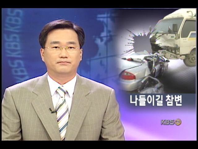 효도 나들이길 60대 부부 등 4명 숨져 