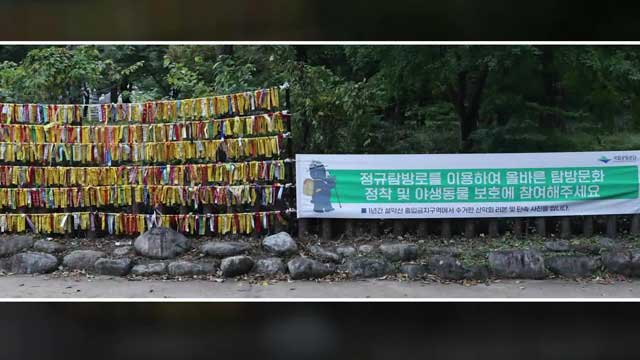 ‘불법’ 샛길 즐기는 산악회…리본 걸어 자랑까지