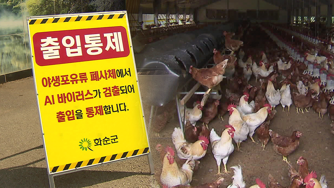 삵 사체서 조류인플루엔자…국내 첫 포유류 감염 기사 이미지