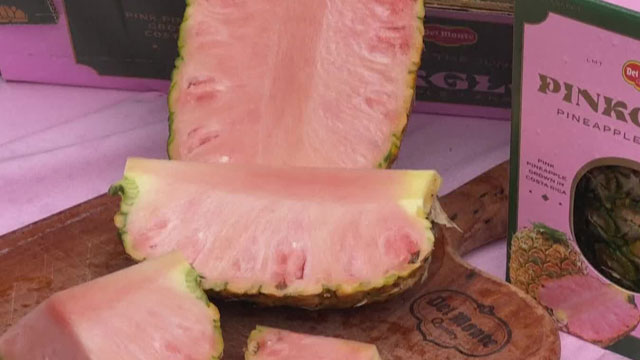 코스타리카의 특산물 ‘핑크 파인애플’