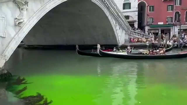 형광 초록색으로 물든 베네치아 운하