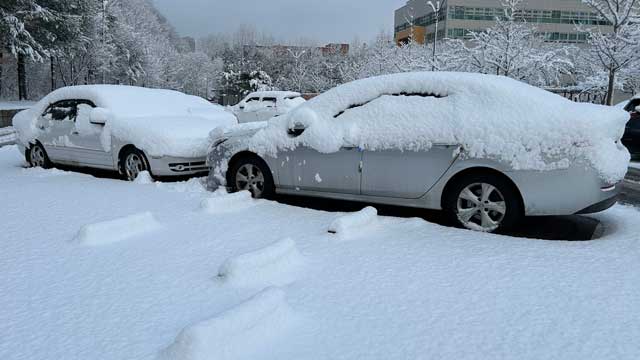 전국 대부분 지역에 대설특보…바람까지 매우 강해