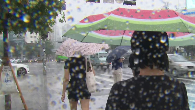 밤부터 전국 비…모레까지 최대 250mm 폭우