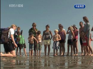 갯벌의 재발견(1) 연 4조 수익