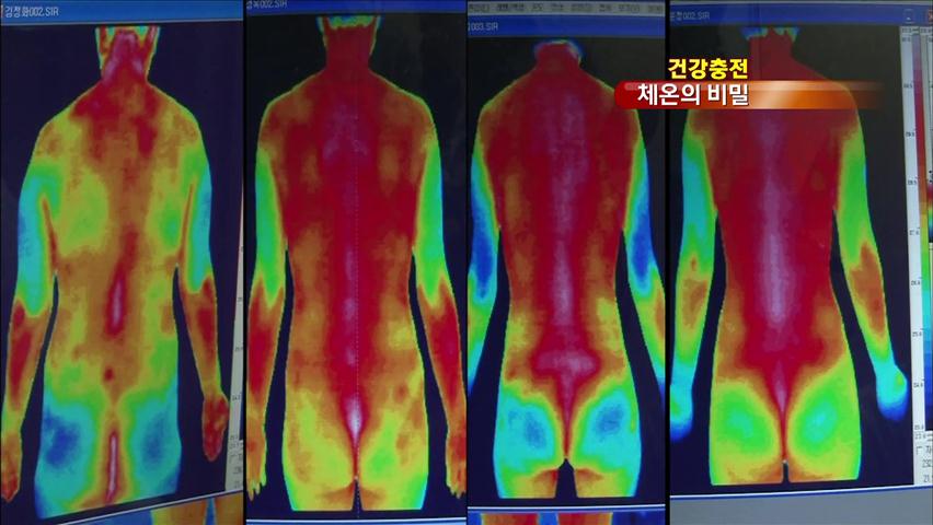 [건강충전] 냉증·갱년기 증상·암까지…체온의 비밀