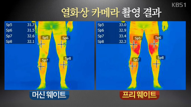 ‘맨손 vs 기계’ 웨이트, 효과 더 큰 방법은?