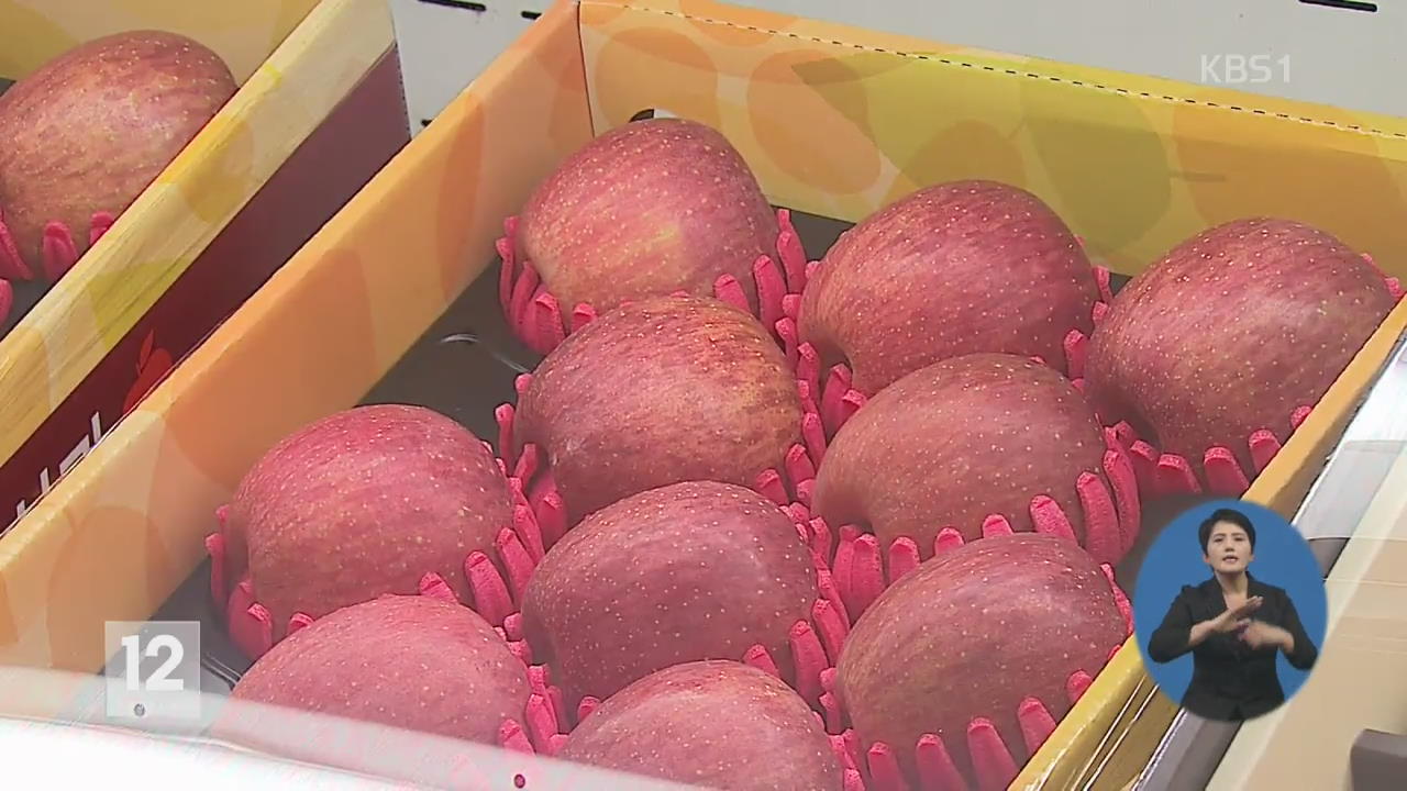 농축수산물 선물 10만 원까지…농민들 “글쎄” > 뉴스 12 > 사회 > 뉴스 | KBSNEWS 농축수산물 선물 10만 원까지…농민들 “글쎄”