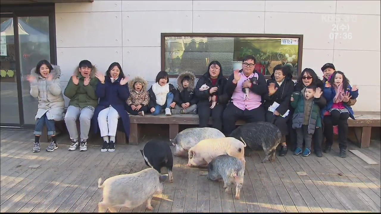 “황금돼지야 어서 와”…결혼·출산 반짝 상승할까?