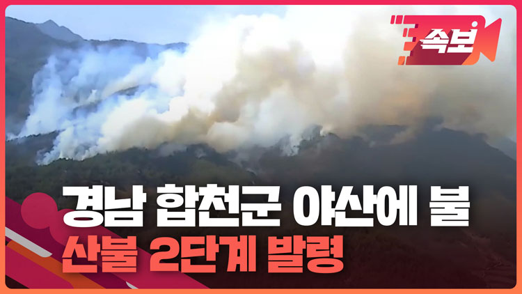 [속보영상] 경남 합천군 야산에 불…산불 2단계 발령