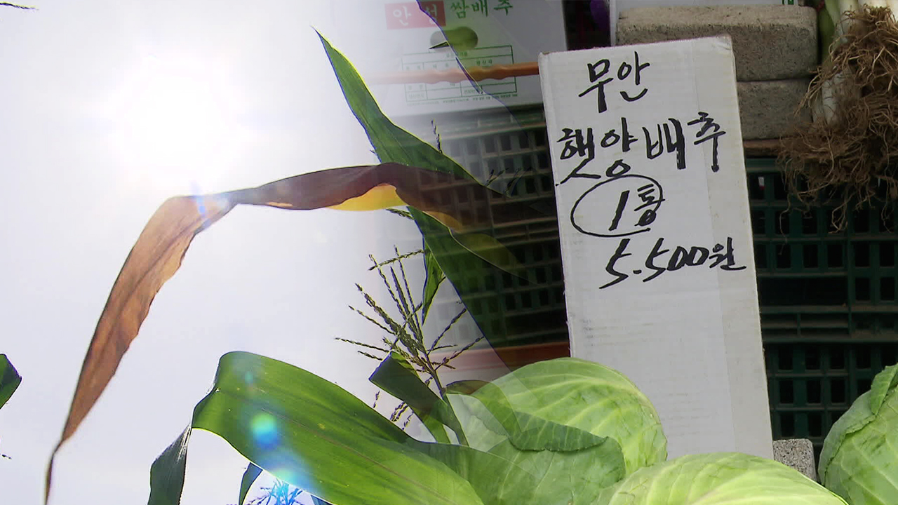 “강수량 100mm 변하면 신선식품 물가상승률 1%p↑​”