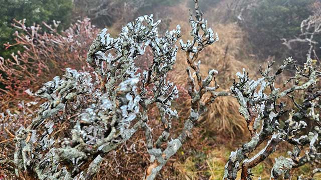 제주 한라산서 올가을 첫 상고대 관측