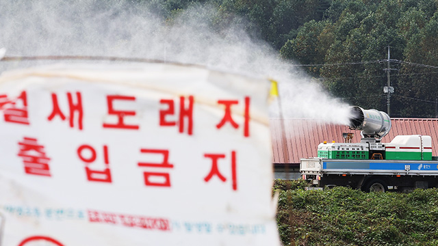 충북 음성 오리 농장서 조류인플루엔자 항원 확인 “일시 이동중지”