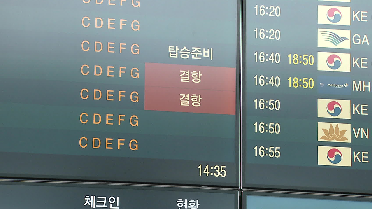 대설에 항공기 결항·지연 잇따라…여객선도 운항 차질