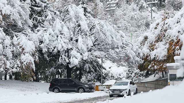 서울 대모산·구룡산·아차산 등 폭설로 등산로 통제