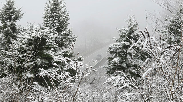 강원 산지 많은 눈…5~10cm 적설 예상