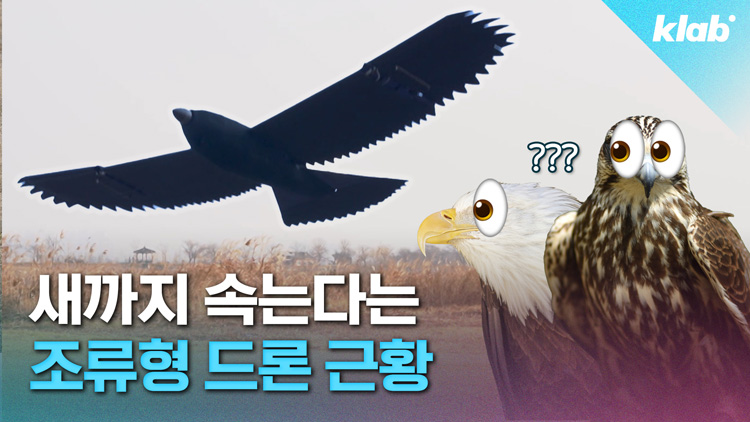 [크랩] 새야? 드론이야? ‘버드 스트라이크’ 막아줄 비밀 병기