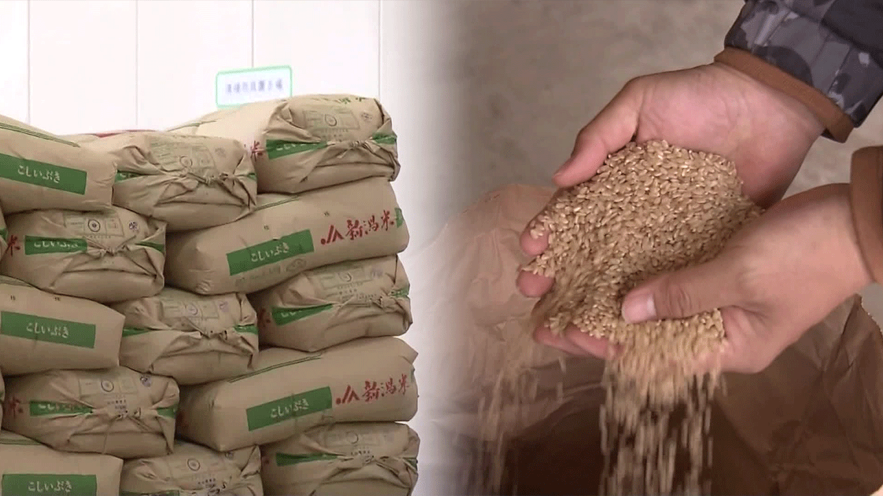 Rice prices soar in Japan