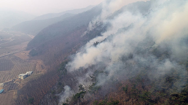 의성 산불로 안동시 “전 시민 대피” 명령