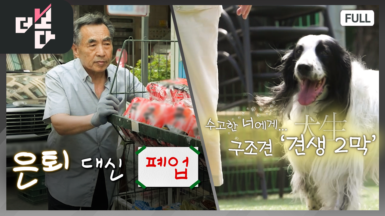 [더 보다] 은퇴 대신 폐업 外