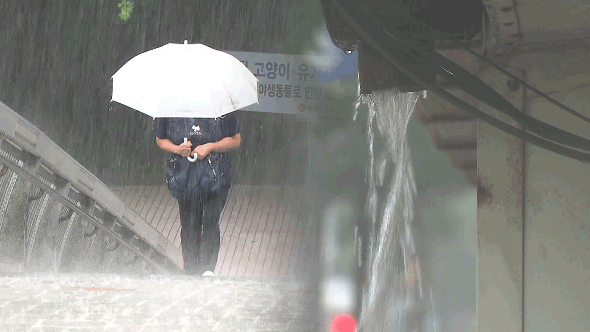 중부지방 본격 장맛비…내일~모레 최대 200mm 예보