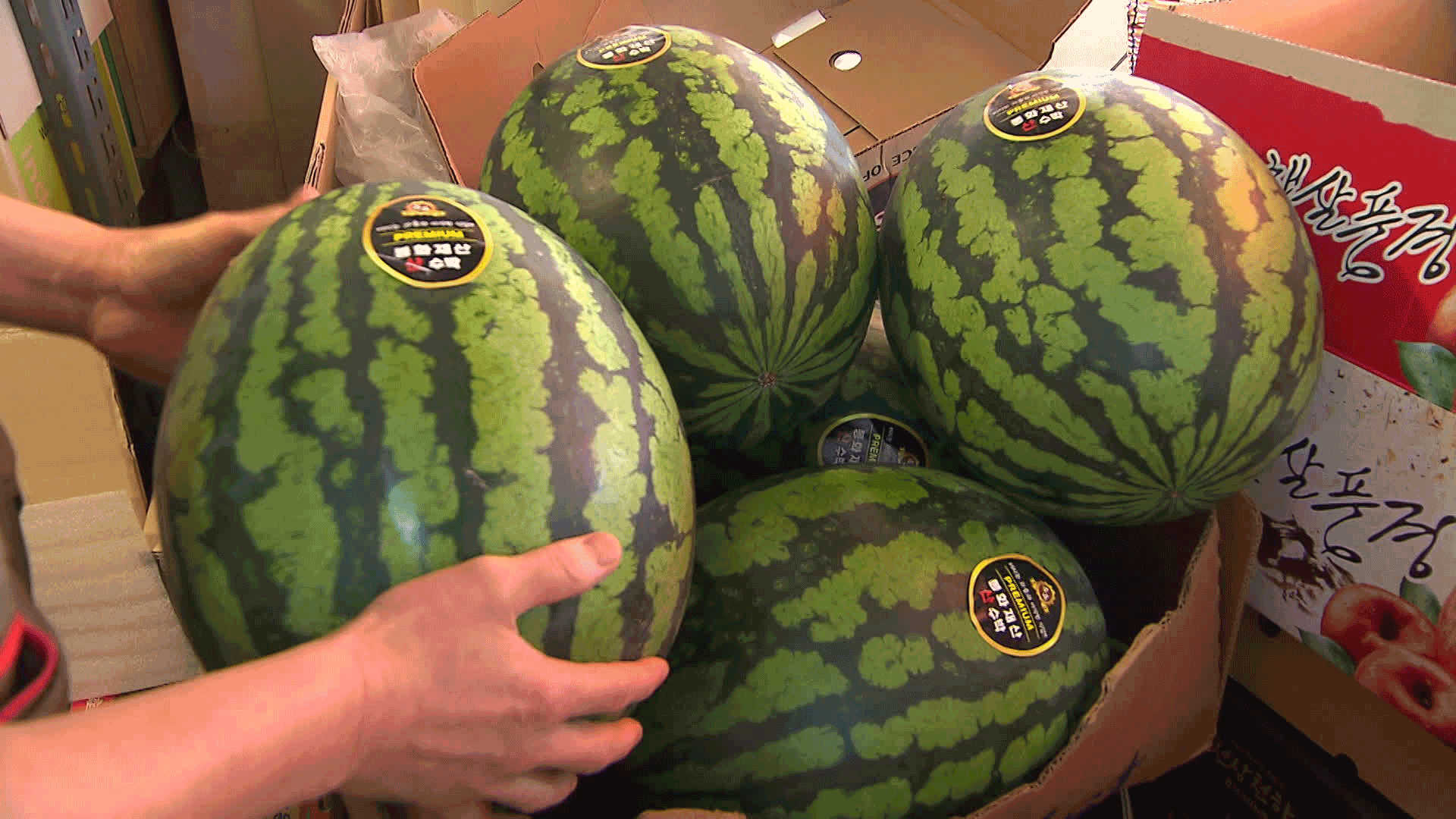 Watermelon prices soar again