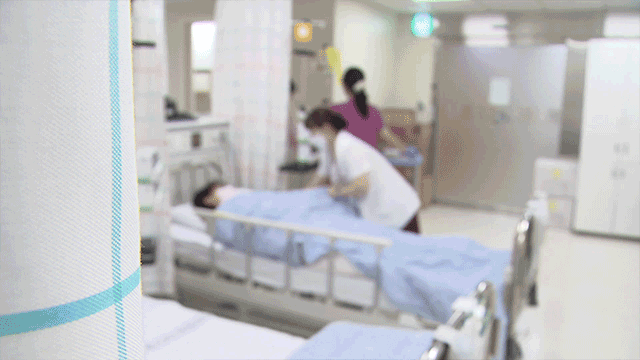 강원도 강릉 의료기관서 황색포도알균 집단 감염…1명 숨져