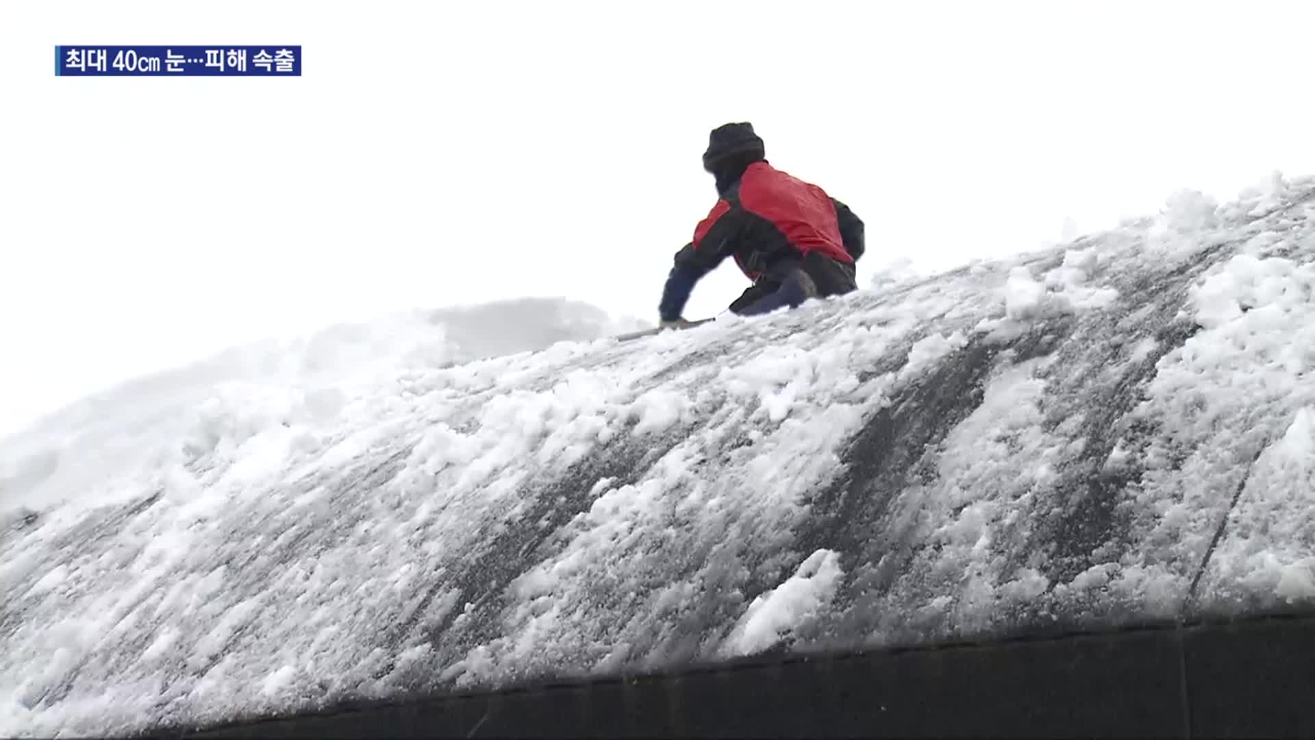 첫눈부터 최대 40cm 폭설…충북 곳곳 피해 속출